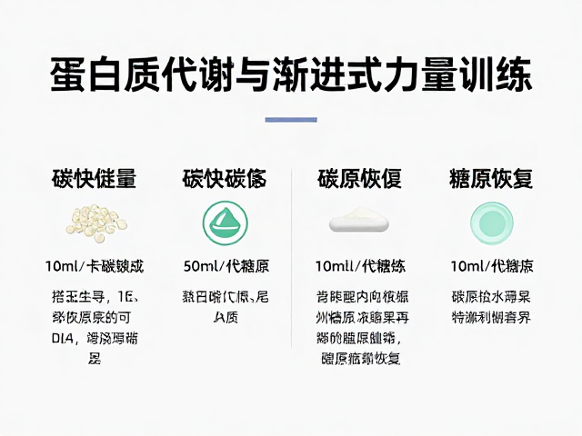 蛋白质代谢与渐进式力量训练,巧搭碳水促糖原恢复