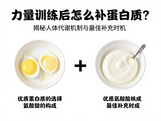 力量训练后怎么补蛋白质?揭秘人体代谢机制与最佳补充时机