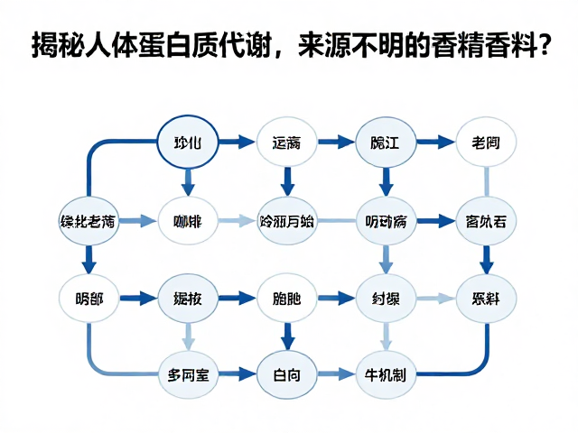 揭秘人体蛋白质代谢,为何要避开来源不明的香精香料?