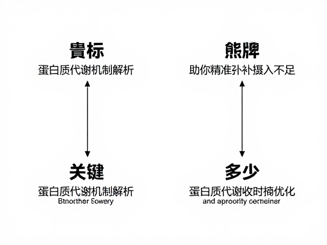 蛋白质代谢机制解析,每份含量多少?助你精准弥补摄入不足