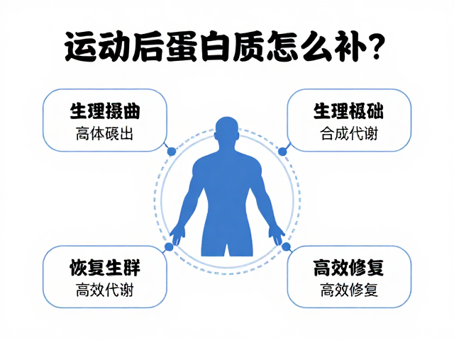 运动后蛋白质怎么补?解析代谢机制,助恢复人群高效修复