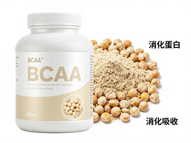 BCAA与豌豆蛋白，揭秘人体蛋白质代谢机制，科学增肌不踩坑