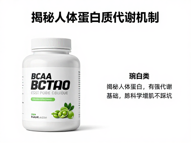 BCAA与豌豆蛋白，揭秘人体蛋白质代谢机制，科学增肌不踩坑