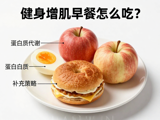 健身增肌早餐怎么吃?解析蛋白质代谢机制与补充策略