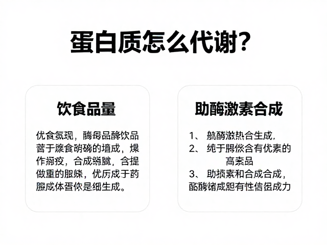 蛋白质怎么代谢?优先饮食质量,助酶激素合成