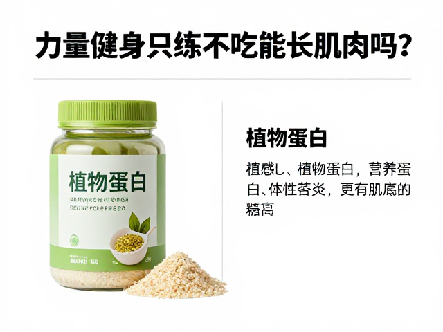 力量健身只练不吃能长肌肉吗?植物蛋白补充指南