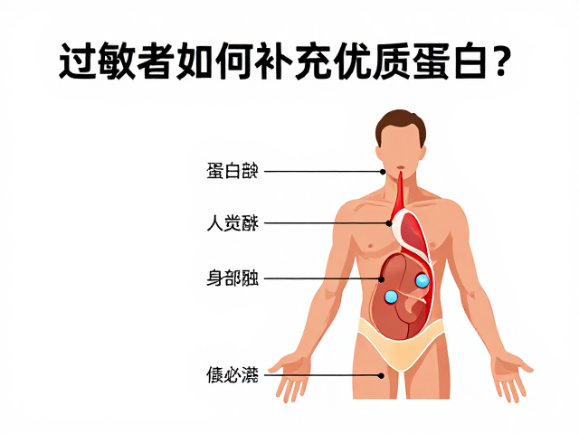 过敏者如何补充优质蛋白?解析人体代谢与老年人饮食建议