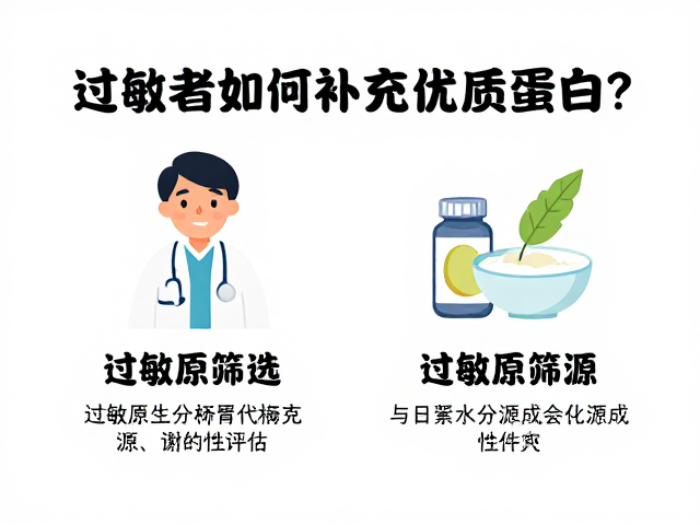 过敏者如何补充优质蛋白?解析人体代谢与老年人饮食建议
