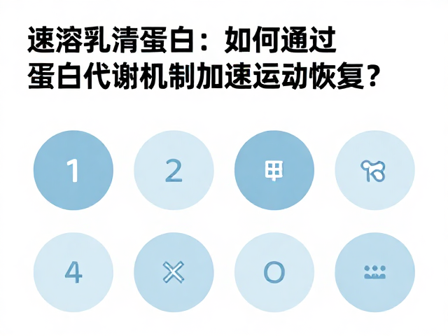 速溶乳清蛋白如何通过蛋白质代谢机制加速运动恢复？