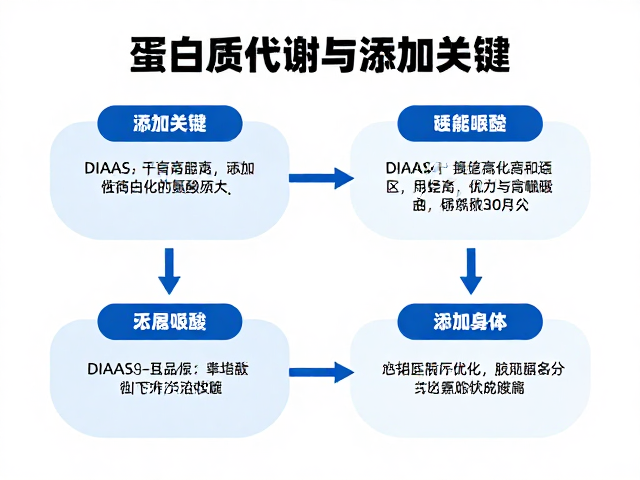蛋白质代谢与添加糖,如何通过DIAAS优化必需氨基酸吸收