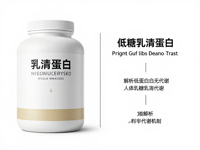 乳清蛋白与低乳糖乳清蛋白对比,解析人体蛋白质代谢机制