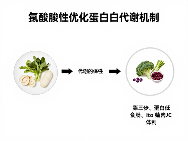 素食者如何通过氨基酸完整性优化蛋白质代谢机制