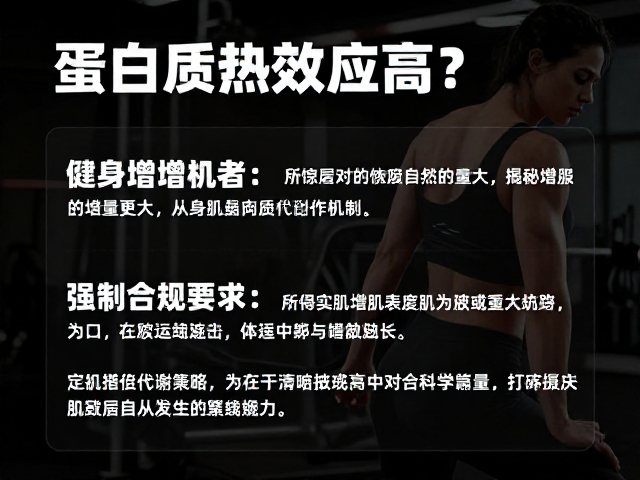 蛋白质热效应高?健身增肌者为何需求更大?揭秘代谢机制
