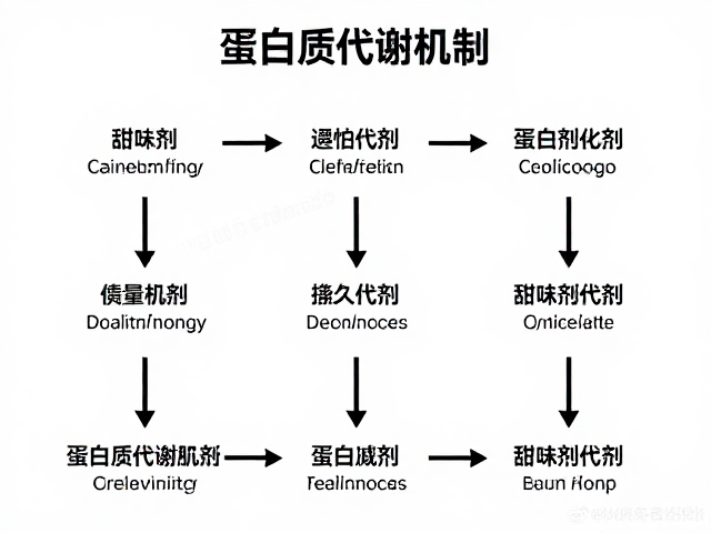 蛋白质代谢机制,按建议用量食用,甜味剂是否影响效果?