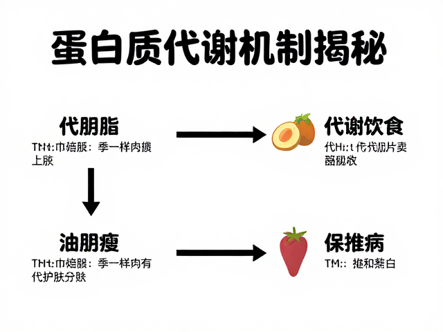 蛋白质代谢机制揭秘，健身增肌与代谢疾病患者的科学饮食指南