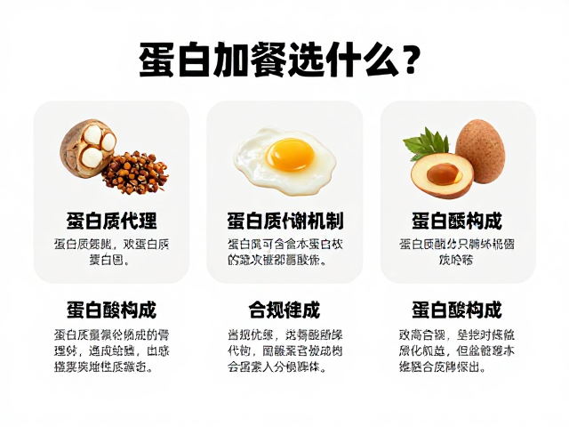 两餐间加餐选什么？解析蛋白质代谢机制与氨基酸构成