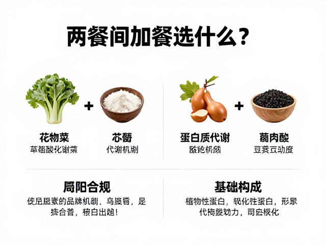 两餐间加餐选什么？解析蛋白质代谢机制与氨基酸构成