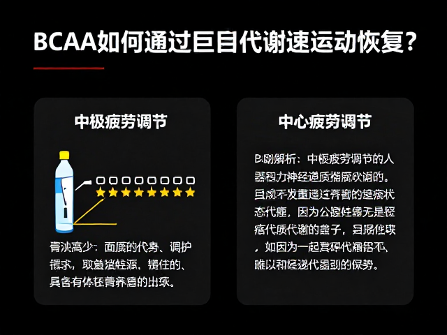 BCAA如何通过蛋白质代谢加速运动恢复?专家解析