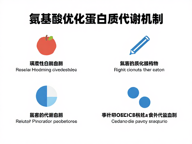 素食人群如何通过氨基酸优化蛋白质代谢机制