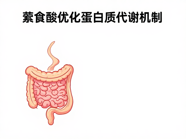 素食人群如何通过氨基酸优化蛋白质代谢机制