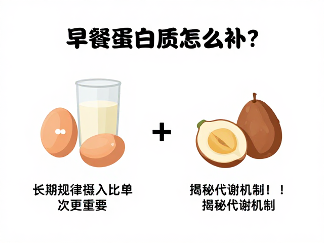 早餐蛋白质怎么补？长期规律摄入比单次更重要，揭秘代谢机制