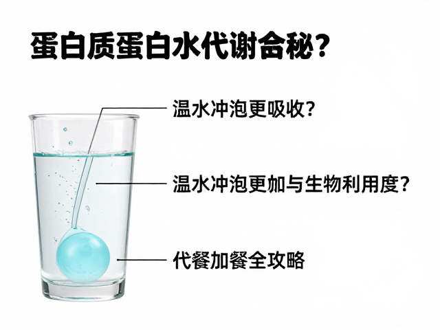 蛋白质代谢揭秘，温水冲泡更吸收？代餐加餐全攻略