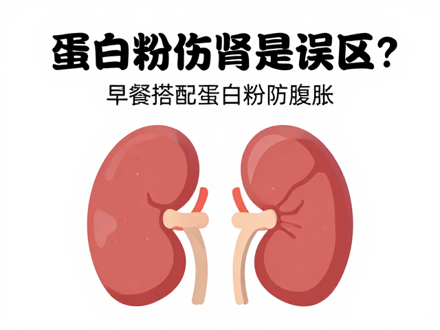 蛋白粉伤肾是误区？早餐搭配蛋白粉防腹胀，科学食用指南