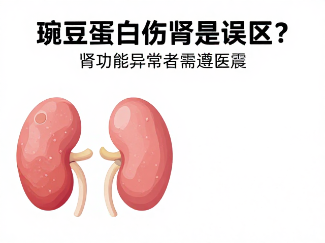 豌豆蛋白伤肾是误区？肾功能异常者需遵医嘱