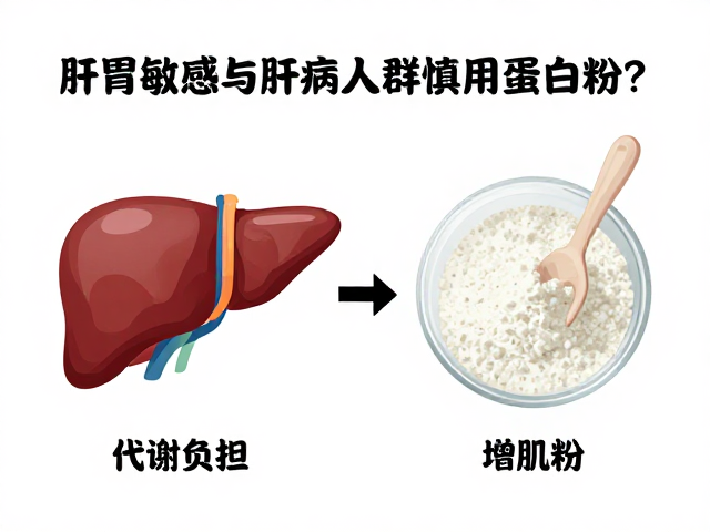 肠胃敏感与肝病人群慎用蛋白粉？先分清蛋白粉和增肌粉再喝