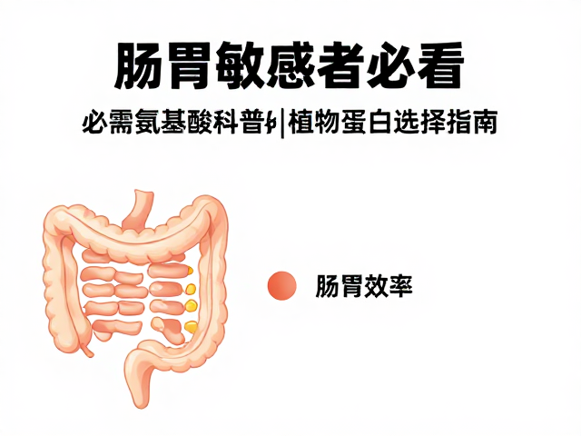 肠胃敏感者必看,必需氨基酸科普与素食植物蛋白选择指南