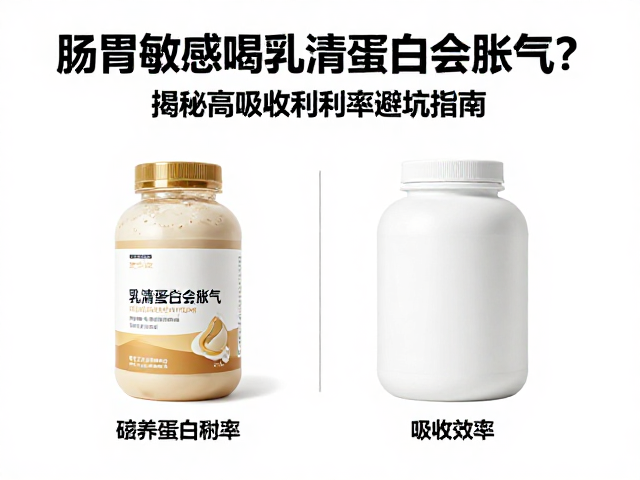 肠胃敏感喝乳清蛋白会胀气?揭秘高吸收利用率避坑指南