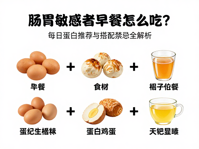 肠胃敏感者早餐怎么吃?每日蛋白推荐与搭配禁忌全解析