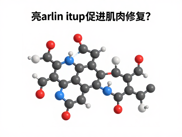 亮氨酸如何促进肌肉修复？加速恢复周期与生长核心原理