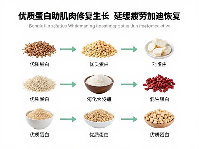 优质蛋白助肌肉修复生长,延缓疲劳加速恢复