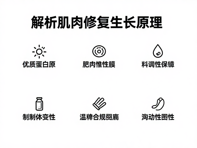 优质蛋白原料可靠,解析肌肉修复生长原理