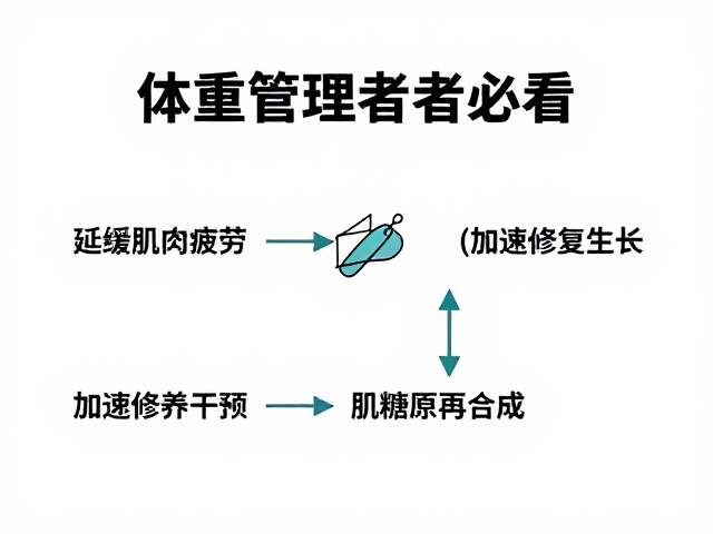 体重管理者必看,延缓肌肉疲劳与加速修复生长的科学原理