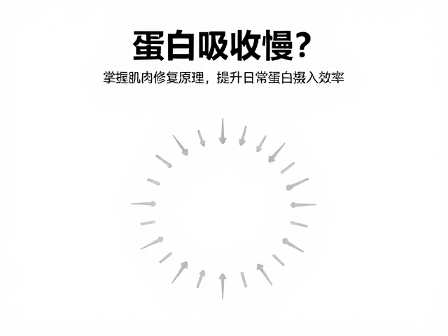 蛋白吸收慢?掌握肌肉修复原理,提升日常蛋白摄入效率
