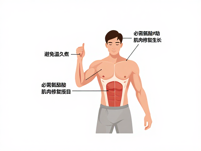 避免高温久煮!补充必需氨基酸助肌肉修复生长