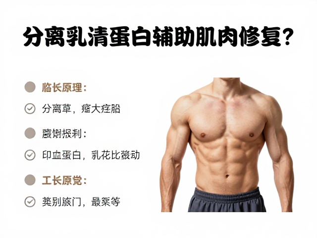 分离乳清蛋白如何辅助肌肉修复?健身增肌人群必看的生长原理