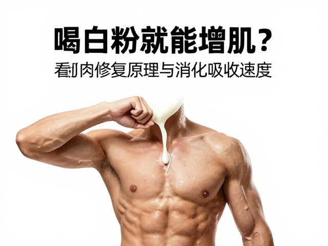 喝蛋白粉就能增肌？看肌肉修复原理与消化吸收速度