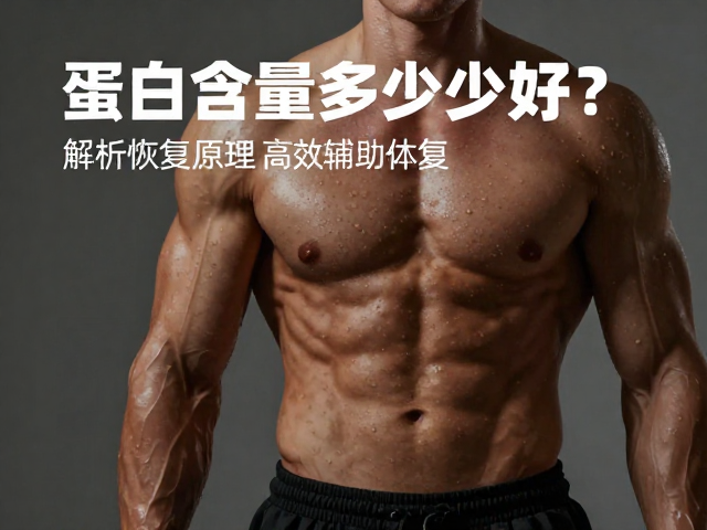 蛋白含量多少好？解析肌肉修复原理，高效辅助恢复体能