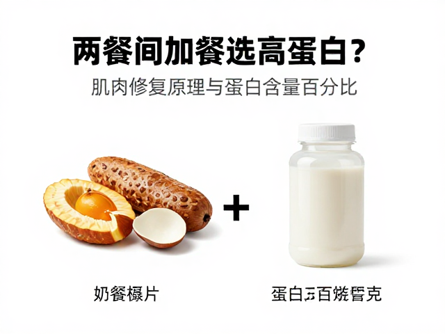 两餐间加餐选高蛋白？解析肌肉修复原理与蛋白含量百分比