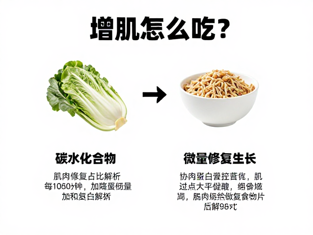 增肌怎么吃?高蛋白占比解析与肌肉修复生长原理