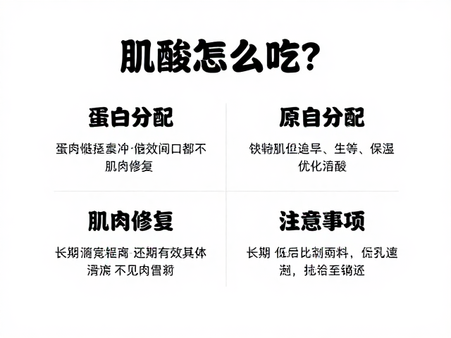 肌酸怎么吃?结合蛋白分配与肌肉修复原理,优化联合使用效果