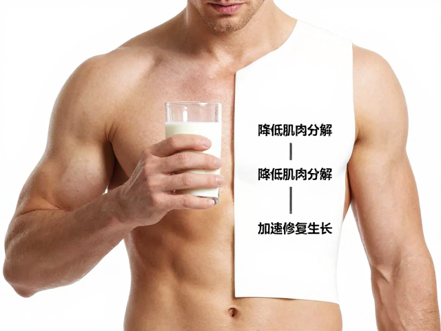 练后吃牛奶或酸奶，降低肌肉分解，加速修复生长的科学原理
