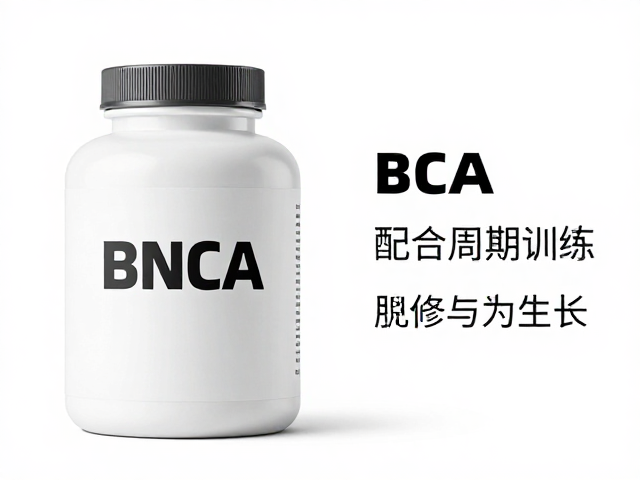 肌酸，BCAA，配合周期化训练，科学辅助肌肉修复与生长