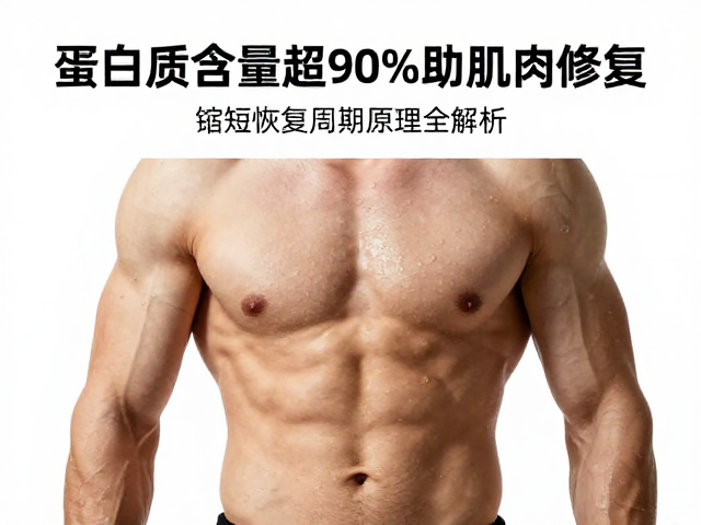 蛋白质含量超90%助肌肉修复,缩短恢复周期原理全解析