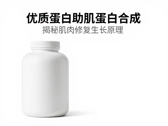 优质蛋白助肌蛋白合成,揭秘肌肉修复生长原理