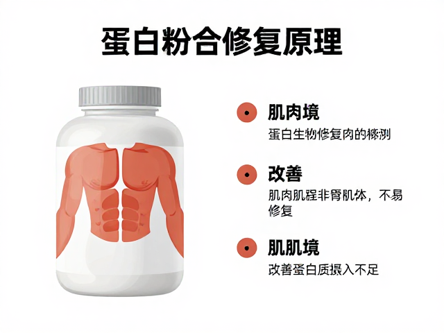 蛋白粉每份多少克?解析肌肉修复原理,改善蛋白质摄入不足