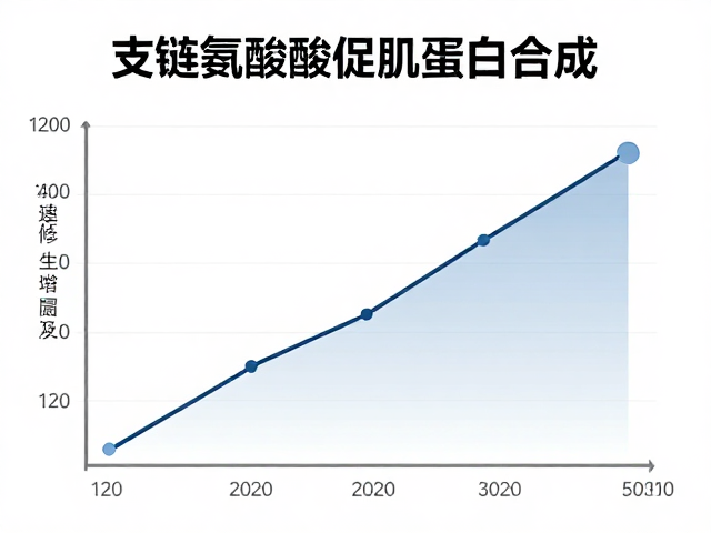 支链氨基酸促肌蛋白合成,肌肉修复生长的核心原理
